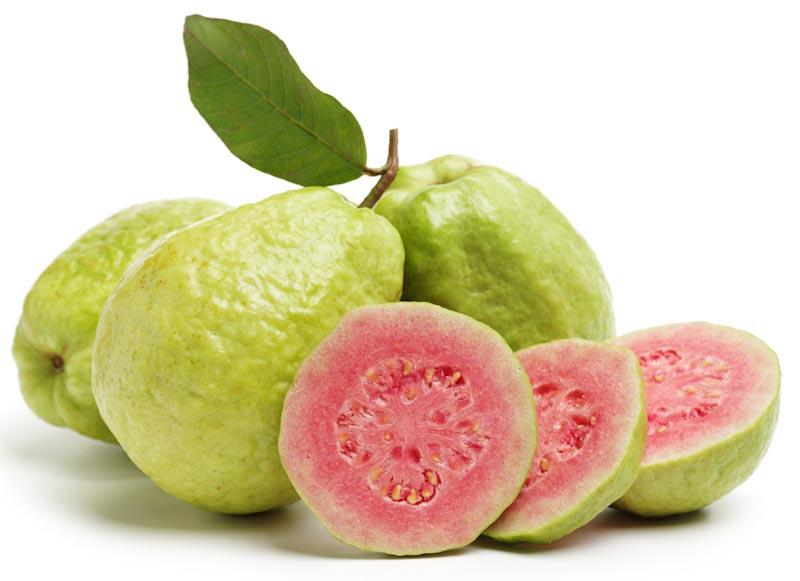 Guava Gourmet Marmalade: 2.75lbs