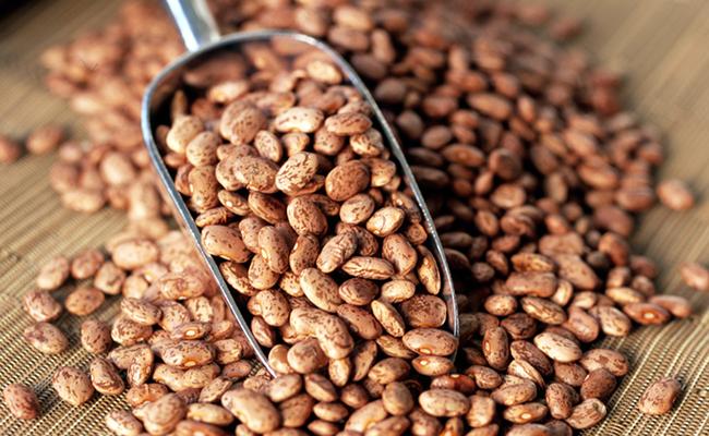 Pinto Beans Organic: 25lbs