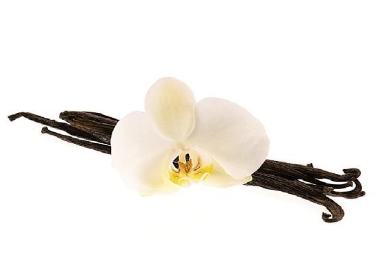 Vanilla Bean Paste Bourbon Italy: 1.4 kg
