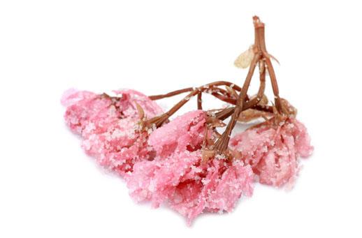 Cherry Blossom Salted: 1kg