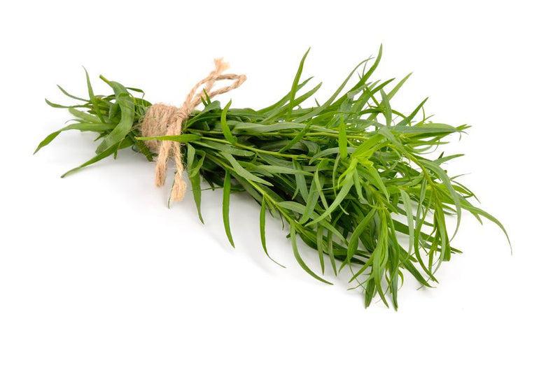 Tarragon Vinegar: 5 Liter
