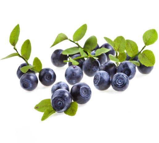 Wild Huckleberries Oregon IQF: 5lbs