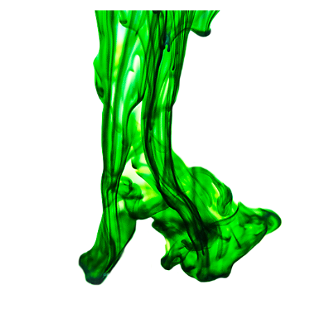 Food Color Powder - Green: 50gr