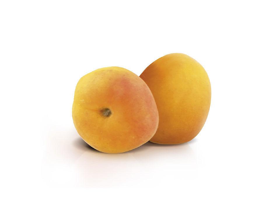 Stracciatella Apricot Filling: 1kg
