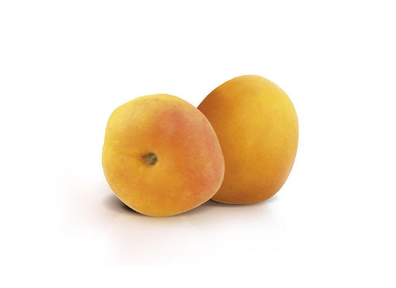 Stracciatella Apricot Filling: 1kg