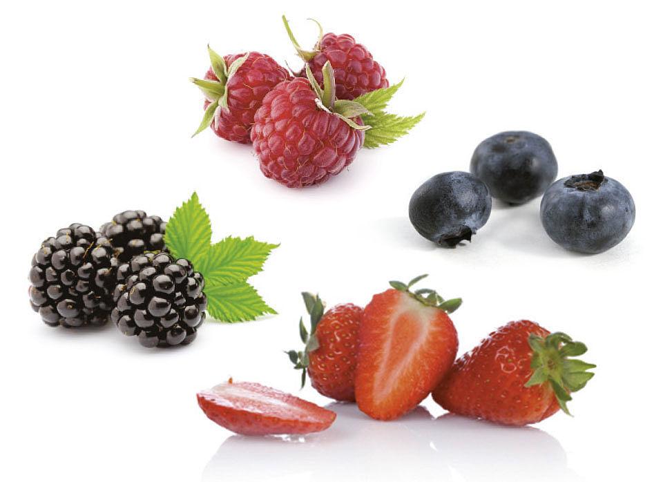 Stracciatella Wild Berry Filling: 1kg