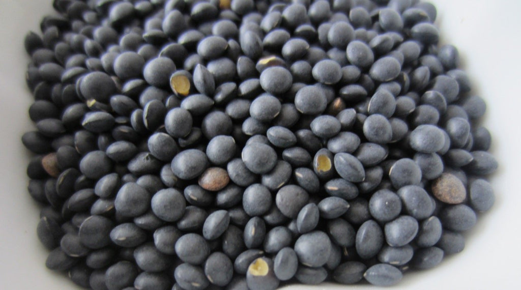 Black Beluga Lentils Organic: 25lbs
