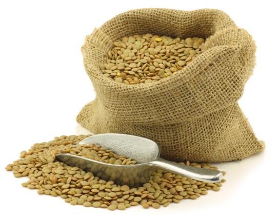 Timeless Tiny Green Lentils Organic: 10lbs