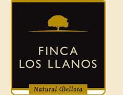 Jamon Iberico Bellota Boneless: 9.67lbs [Approx Weight. Price Per Lb]